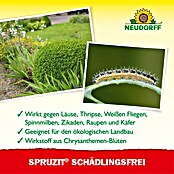 Neudorff Spruzit Schädlingsfrei (250 ml) | BAUHAUS