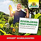 Neudorff Spruzit Schädlingsfrei (250 ml) | BAUHAUS