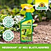 Neudorff Blattlausfrei Neudosan (500 ml) | BAUHAUS