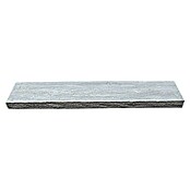 Randstein Delhi Grey (Grau, 100 x 20 x 6 cm, Sandstein)