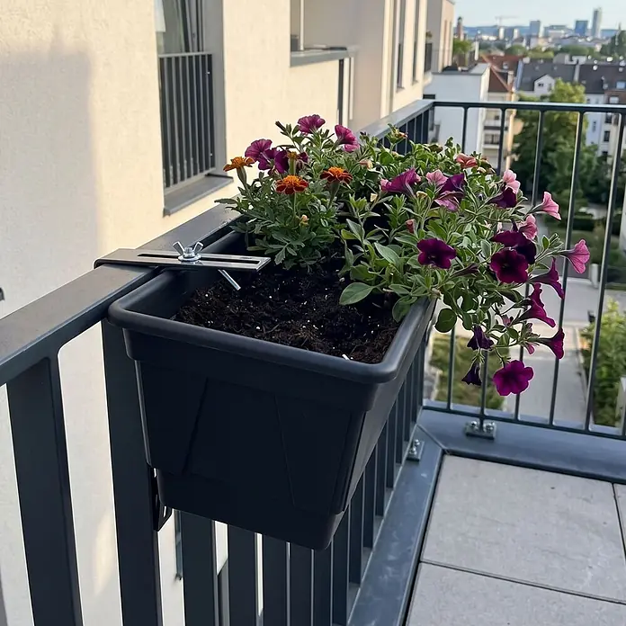 Plastard Pflanzkasten 100 cm selbstwässernd mit Hydroeinsatz & Metallhalterung - Außenmaß (L x B x H): 100 x 21 x 17 cm, Kunststoff, Anthrazit - Schwarzer Balkonpflanzkasten mit bunten Blumen, sicher an einem Metallgeländer montiert.