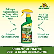 Neudorff Pilzfrei Armisan AF Obst- und Gemüse MehltauFrei (Nettovolumen: 500 ml) | BAUHAUS
