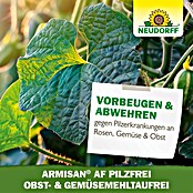 Neudorff Pilzfrei Armisan AF Obst- und Gemüse MehltauFrei (Nettovolumen: 500 ml) | BAUHAUS
