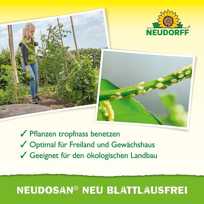 Neudorff Schädlingsbekämpfung Neudosan Obst- &GemüseSchädlingsfrei (Nettovolumen: 250 ml) | BAUHAUS