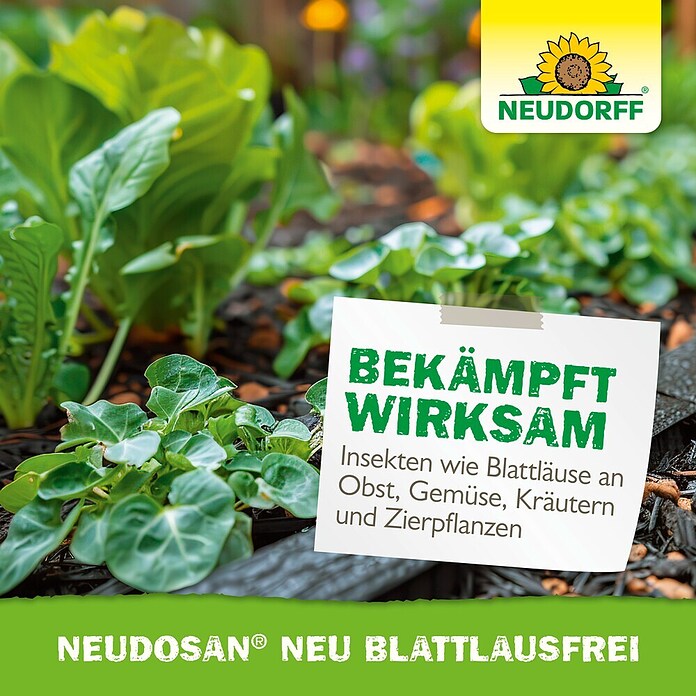 Neudorff Schädlingsbekämpfung Neudosan Obst- &GemüseSchädlingsfrei (Nettovolumen: 250 ml) | BAUHAUS