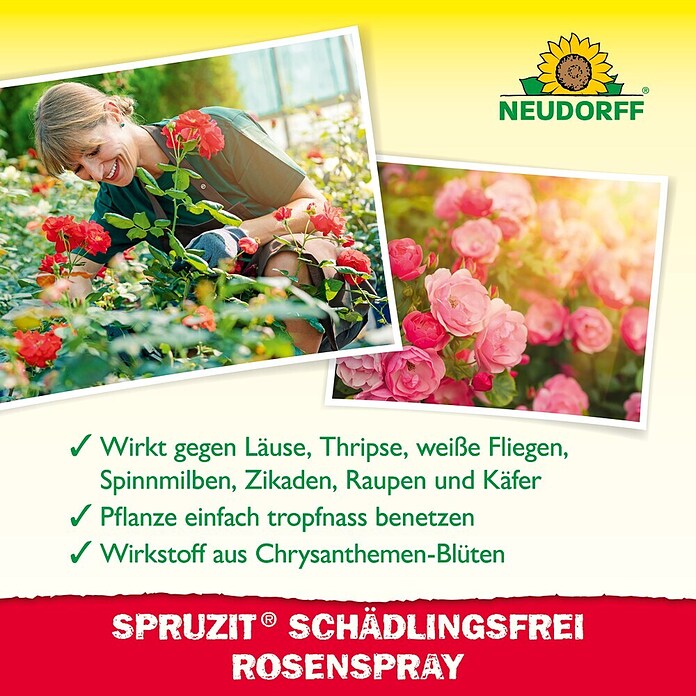 Neudorff Schädlingsfrei Spruzit Schädlingsfrei RosenSpray (Nettovolumen: 750 ml) | BAUHAUS
