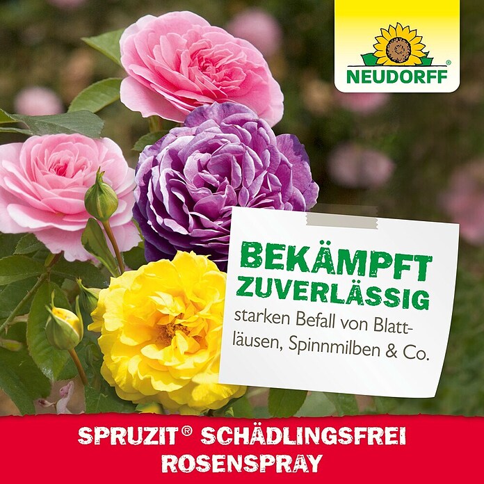 Neudorff Schädlingsfrei Spruzit Schädlingsfrei RosenSpray (Nettovolumen: 750 ml) | BAUHAUS