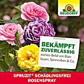 Neudorff Schädlingsfrei Spruzit Schädlingsfrei RosenSpray (Nettovolumen: 750 ml) | BAUHAUS