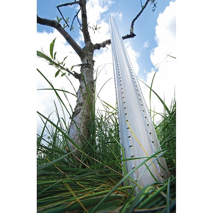 Palica za rastline  (1 kos, Dolžina: 230 cm, Premer: 37 mm, Plastika) | 7407 - Metall Spaliere/Stäbe/Staudenhalter | IAGA - Metallzaun | IAG - Außenbereichsausstattung | IA - Gartenhartware | I - Stadtgarten | BAUHAUS