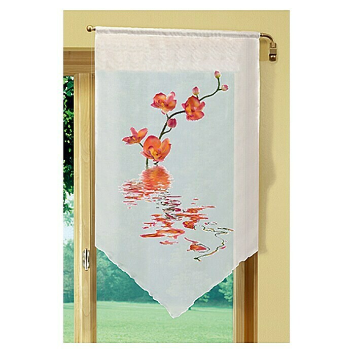 HOME Fashion Fensterbehang Nantes60 x 100 cm, 100 % Polyester, Orange Mood Shot