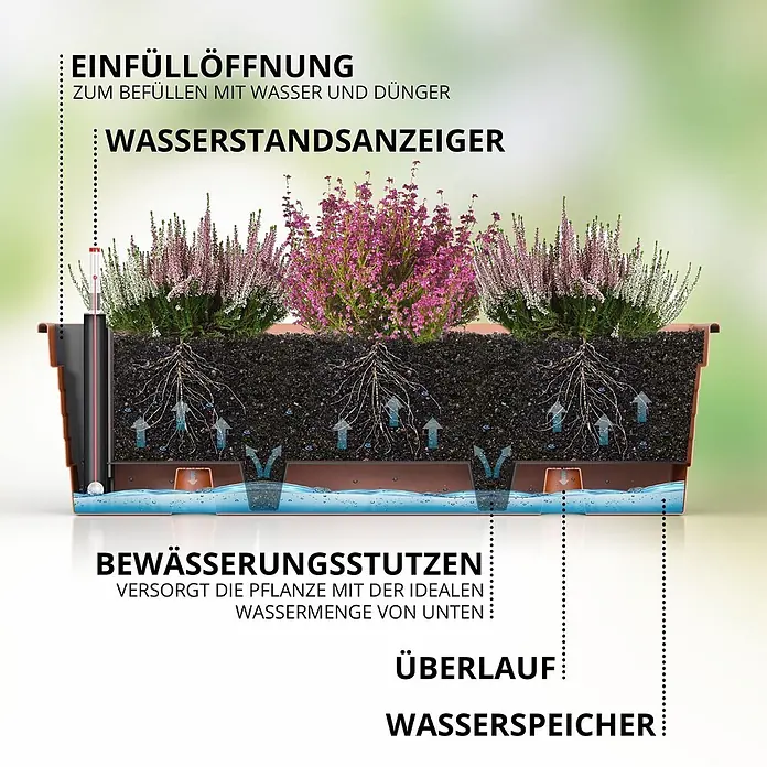 Plastard Pflanzkasten 100 cm selbstwässernd mit Hydroeinsatz & Metallkorb - Außenmaß (L x B x H): 100 x 21 x 17 cm, Kunststoff, Anthrazit - Schnittansicht eines braunen Selbstbewässerungs-Pflanzgefäßes mit Pflanzen, das Wasserreservoir, -standanzeiger und Dochtsystem zeigt.