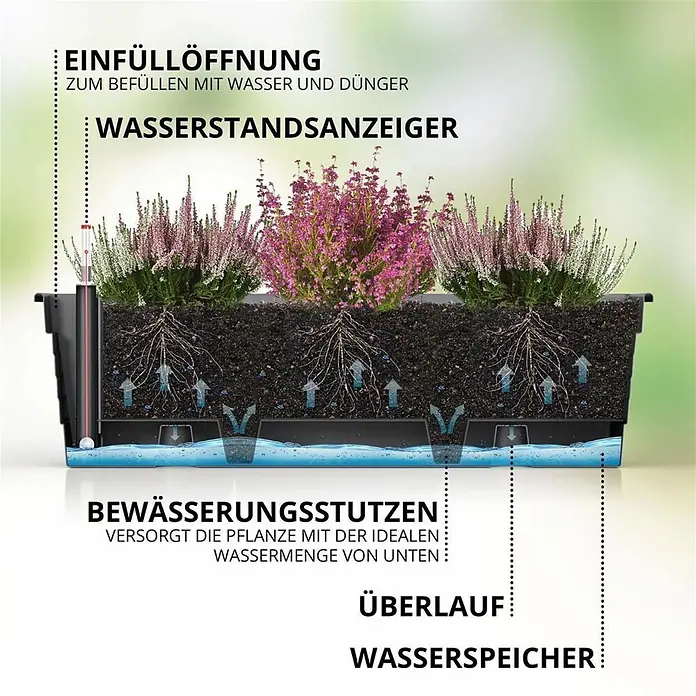 Plastard Pflanzkasten 100 cm selbstwässernd mit Hydroeinsatz & Metallhalterung - Außenmaß (L x B x H): 80 x 21 x 17 cm, Kunststoff, Seidengrau - Schnittbild eines selbstbewässernden Pflanzkastens mit Wasserspeicher, Füllstandsanzeige und Bewässerung von unten.