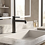 GME Grifo de lavabo Persio (Titanio, Satinado) | BAUHAUS