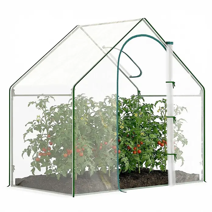 Outsunny Gewächshaus - 180 x 100 cm, Material Seitenwand: Kunststoff, 0,3 mm, Grün - Transparentes Mini-Gewächshaus mit dunkelgrünem Rahmen, enthält Tomatenpflanzen mit reifen Früchten. Mit Roll-up-Eingang.