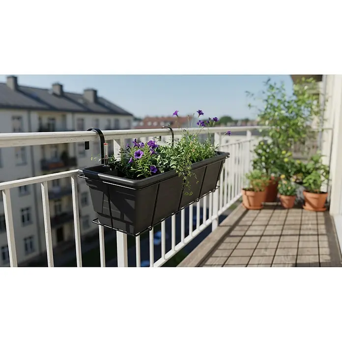 Plastard Pflanzkasten 100 cm selbstwässernd mit Hydroeinsatz & Metallkorb - Außenmaß (L x B x H): 100 x 21 x 17 cm, Kunststoff, Anthrazit - Schwarzer Kunststoff-Balkonkasten mit lila Blumen, sicher am Geländer hängend.