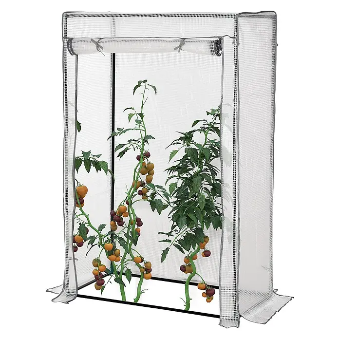 Outsunny Gewächshaus - 100 x 50 cm, Material Seitenwand: Kunststoff, 0,3 mm, Dunkelgrau - Kompaktes Gewächshaus mit transparenter, verstärkter Abdeckung, aufrollbarer Tür und zwei Tomatenpflanzen.