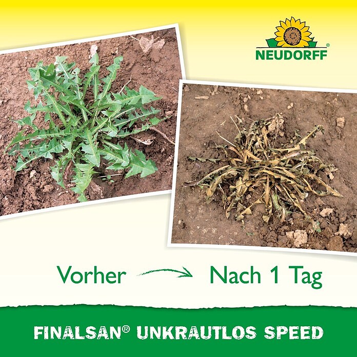 Neudorff Finalsan Unkrautvernichter SPEED (1 l) | BAUHAUS