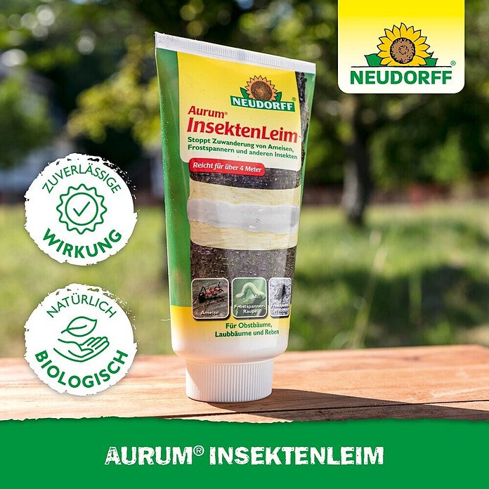 Neudorff Insektenvernichter Aurum Insektenleim (Reicht für über 4m) | BAUHAUS