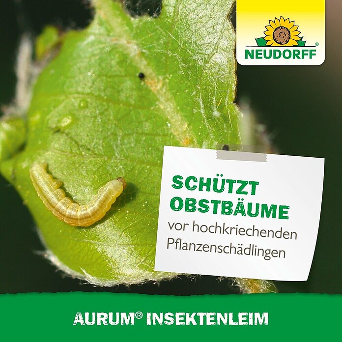 Neudorff Insektenvernichter Aurum Insektenleim (Reicht für über 4m) | BAUHAUS