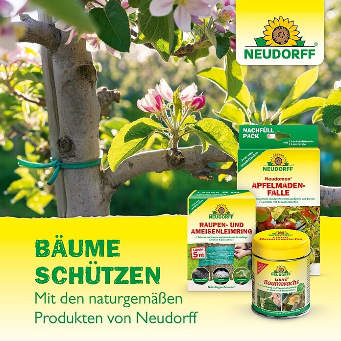 Neudorff Insektenvernichter Aurum Insektenleim (Reicht für über 4m) | BAUHAUS