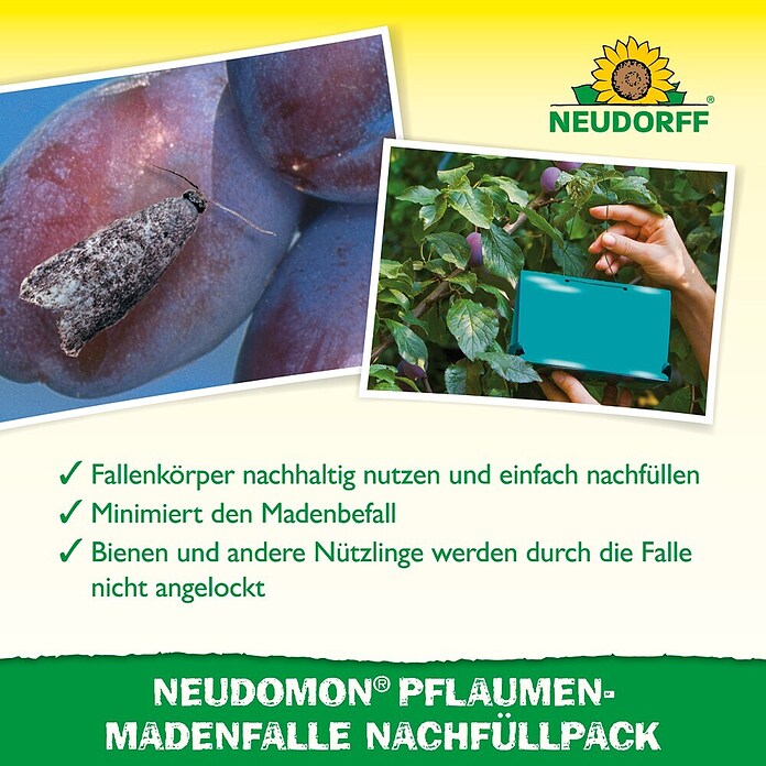 Neudorff Pflaumenmaden-Falle Neudomon Nachfüllpack (Reicht für 1 Saison) | BAUHAUS