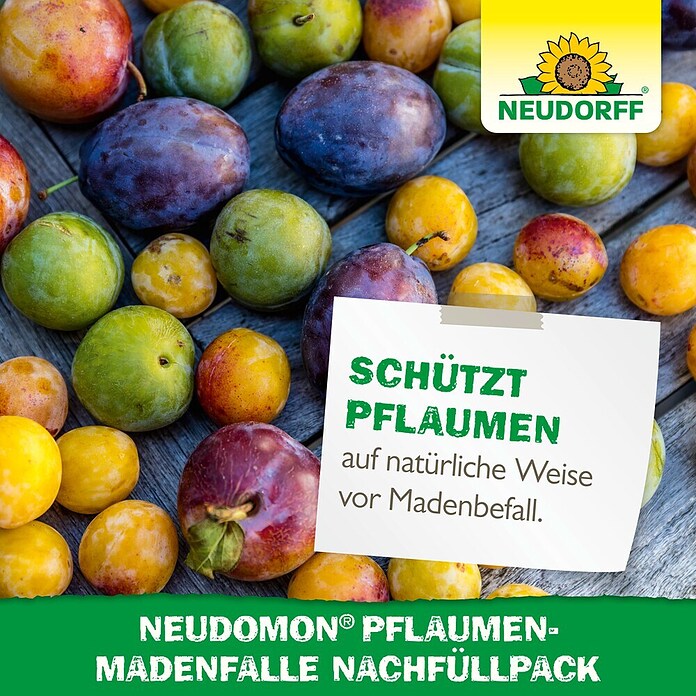 Neudorff Pflaumenmaden-Falle Neudomon Nachfüllpack (Reicht für 1 Saison) | BAUHAUS