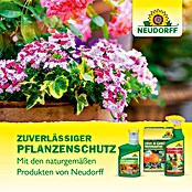 Neudorff Spruzit Schädlingsfrei NEEM (450 ml) | BAUHAUS