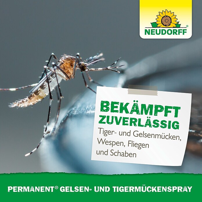 Neudorff Insekten-Spray Permanent (Außen, 500 ml) | BAUHAUS
