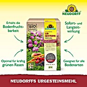 Neudorff Urgesteinsmehl (2,5 kg) | BAUHAUS