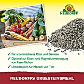 Neudorff Urgesteinsmehl (2,5 kg) | BAUHAUS