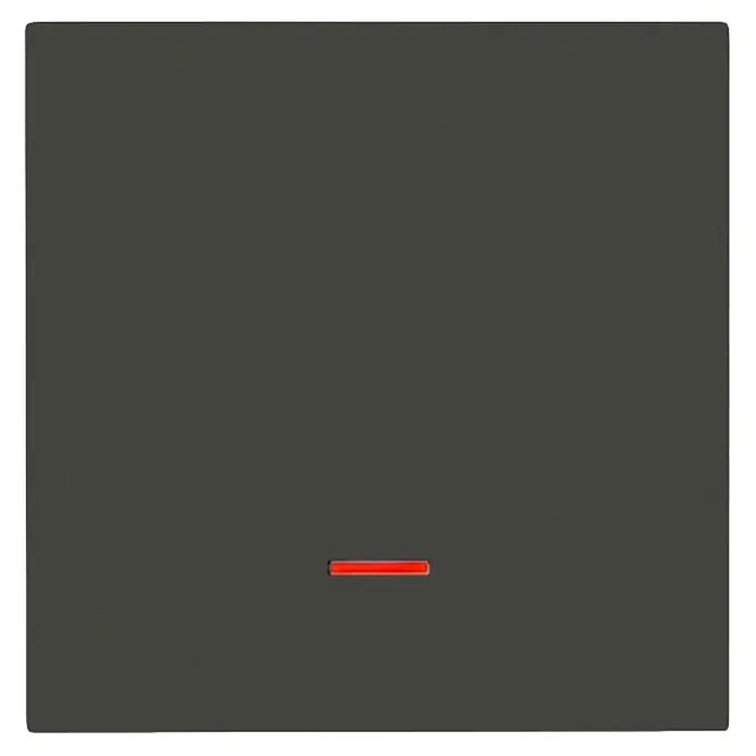 Panasonic Kontrollschalterwippe - Anthrazit, Kunststoff, Unterputzmontage - Dunkelgraue Platte mit einer rot leuchtenden horizontalen Linie.