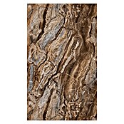 Panelna plošča Arabescato  (122 x 260 cm, Kamnito rjava) | 3685 - Wasserfeste Wandelemente | EAFL - Wandverkleidungen/Riemchen | EAF - Fliesen | EA - Fliesen | E - Fliesen | BAUHAUS