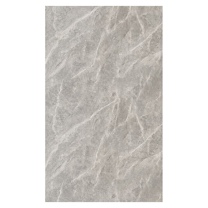 Panelna plošča Silver Mist  (122 x 260 cm, Srebrna) | 3685 - Wasserfeste Wandelemente | EAFL - Wandverkleidungen/Riemchen | EAF - Fliesen | EA - Fliesen | E - Fliesen | BAUHAUS
