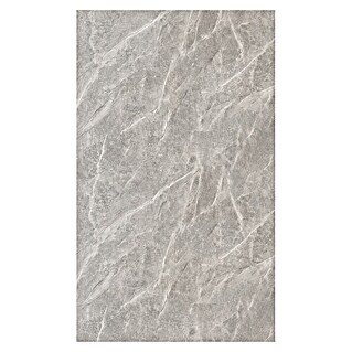 Panelna plošča Silver Mist (122 x 260 cm, Srebrna)