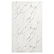 Panelna plošča Bianco Carrara  (122 x 260 cm, Carrara bela) | 3685 - Wasserfeste Wandelemente | EAFL - Wandverkleidungen/Riemchen | EAF - Fliesen | EA - Fliesen | E - Fliesen | BAUHAUS