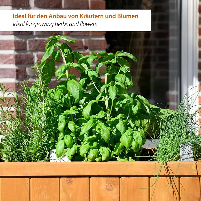 Dobar Hochbeet - 76 x 40 x 80 cm, Holz, Braun - Hölzerner Pflanzkasten gefüllt mit frischen Kräutern (Basilikum, Rosmarin, Schnittlauch). Ideal für den Anbau von Kräutern und Blumen.