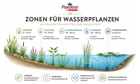 Farne fr den Garten online kaufen bei BAUHAUS