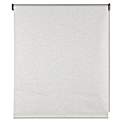 Estor enrollable opaco Scandi (An x Al: 80 x 250 cm, Lino) | BAUHAUS