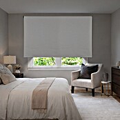 Estor enrollable opaco Scandi (An x Al: 80 x 250 cm, Lino) | BAUHAUS