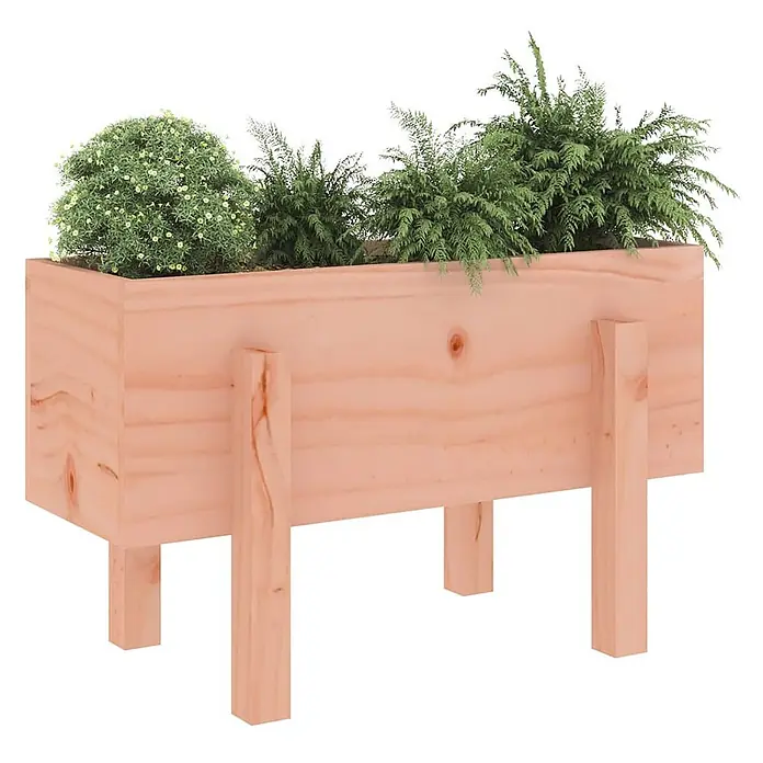 Furnicato Hochbeet - 30 x 62 x 38 cm, Holz, Natürliches Douglasie - Hellholz-Hochbeet mit grünen Pflanzen und kleinen Blütensträuchern.