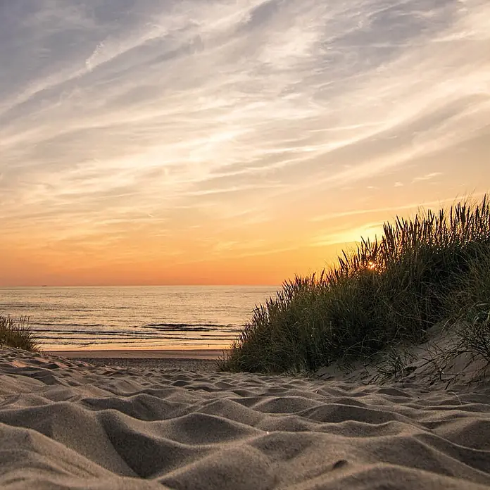 SanDesign Alu-Verbundplatte - 100 x 250 cm, Sonnenuntergang - Goldener Sonnenuntergang über einem Sandstrand mit Dünengras, der zum Meer unter einem gestreiften Himmel führt.