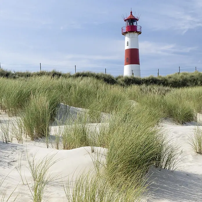 SanDesign Alu-Verbundplatte - 100 x 250 cm, Leuchtturm - Rot-weiß gestreifter Leuchtturm auf Sanddünen mit grünem Gras unter blauem Himmel.