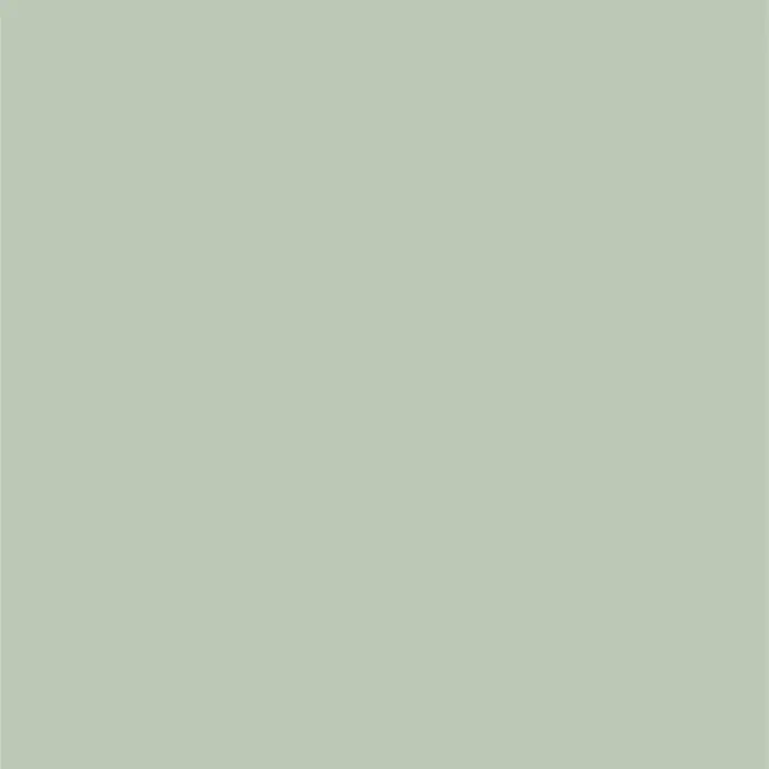 SanDesign Acryl-Verbundplatte - 100 x 250 cm, Light Green - Farbmuster in hellem Salbeigrün.