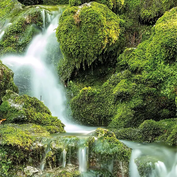 SanDesign Acryl-Verbundplatte - 100 x 250 cm, Natural Stream - Langzeitbelichtung eines Wasserfalls, der über leuchtend grüne, moosbewachsene Felsen und Steine kaskadiert.