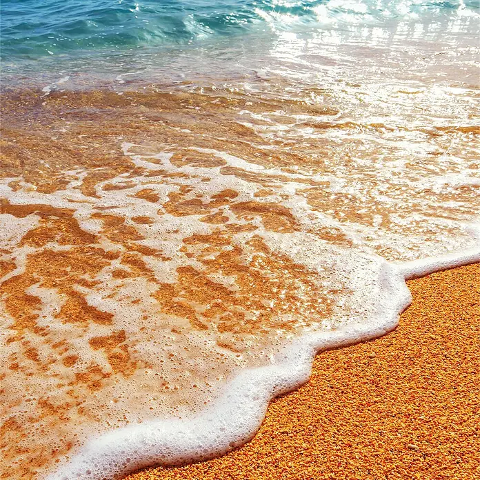 SanDesign Alu-Verbundplatte - 100 x 250 cm, Sea Star - Schaumige weiße Wellen ziehen sich sanft an einem goldenen Sandstrand zurück, mit funkelndem blauen Meerwasser im Hintergrund.