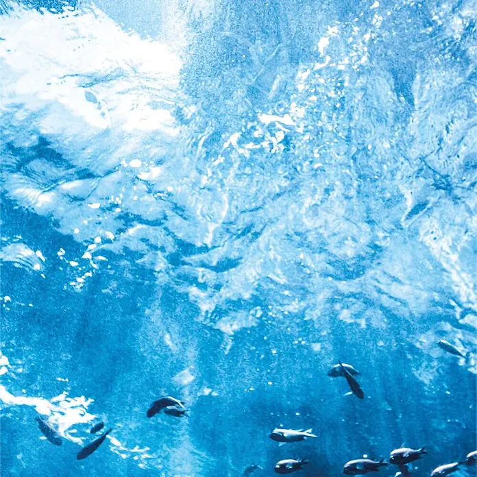 SanDesign Acryl-Verbundplatte - 100 x 250 cm, Underwater - Fische schwimmen in blauem Wasser, Licht fällt von der Oberfläche ein.