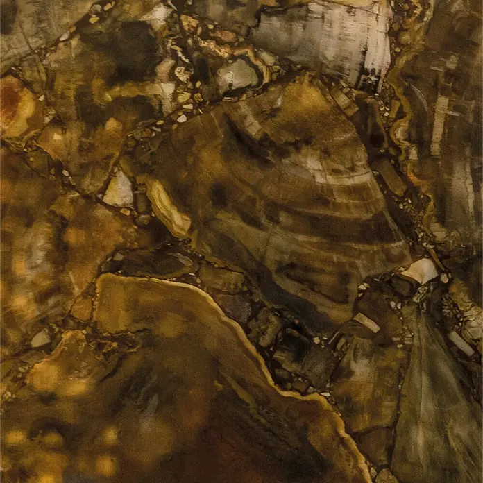 SanDesign Acryl-Verbundplatte - 100 x 250 cm, Golden Onyx - Dunkelbraune und goldbraune gemusterte Oberfläche, die versteinertem Holz oder Marmor ähnelt, mit natürlichen Adern und organischen Ringen.
