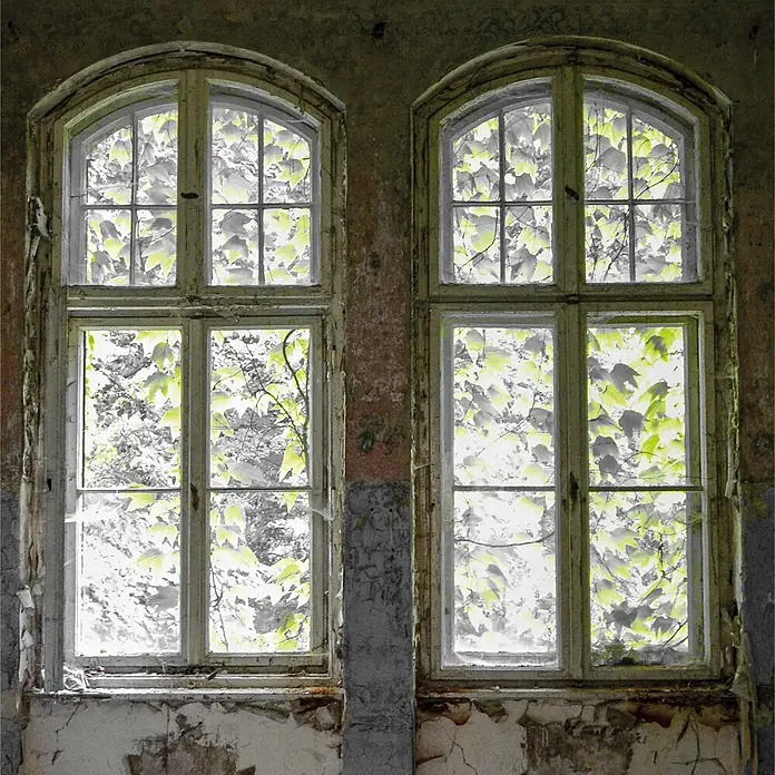 SanDesign Alu-Verbundplatte - 100 x 250 cm, Lost Place Window - Zwei alte, gewölbte Fenster mit abblätternder Farbe, die leuchtend grünes Laub draußen zeigen.