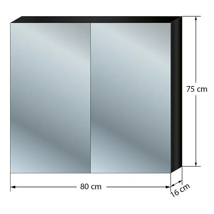 AcquaVapore Spiegelschrank Fertigdusche City-SPS-B080-F07-LED - B x H: 16 x 75 cm - Schwarzer zweitüriger Spiegelschrank, 80x75x16 cm.