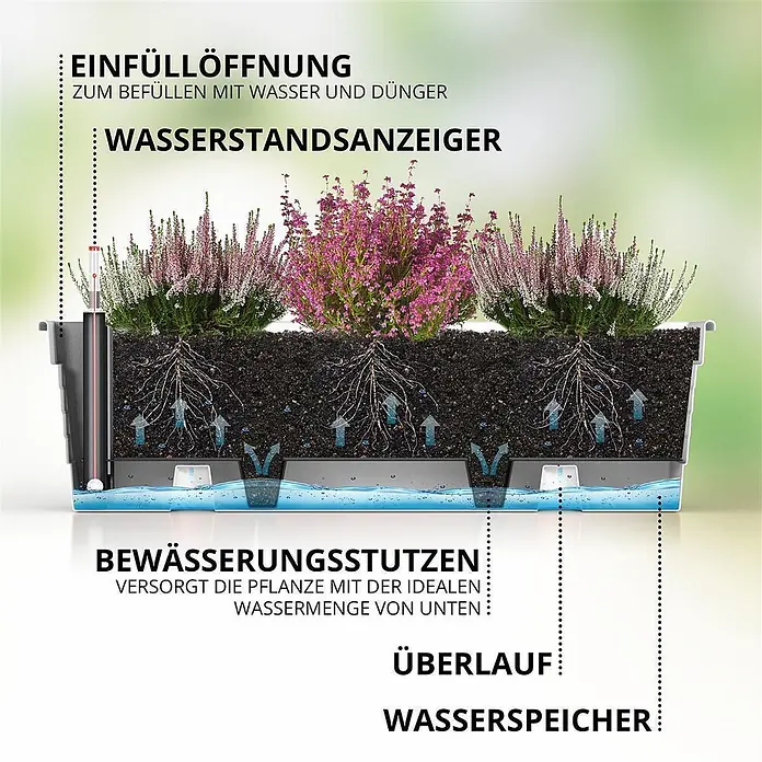 Plastard Pflanzkasten Milano 3er Set mit Hydroeinsatz & Wasserstandsanzeiger Weiß - Außenmaß (L x B x H): 60 x 21 x 17 cm, Kunststoff, Weiß